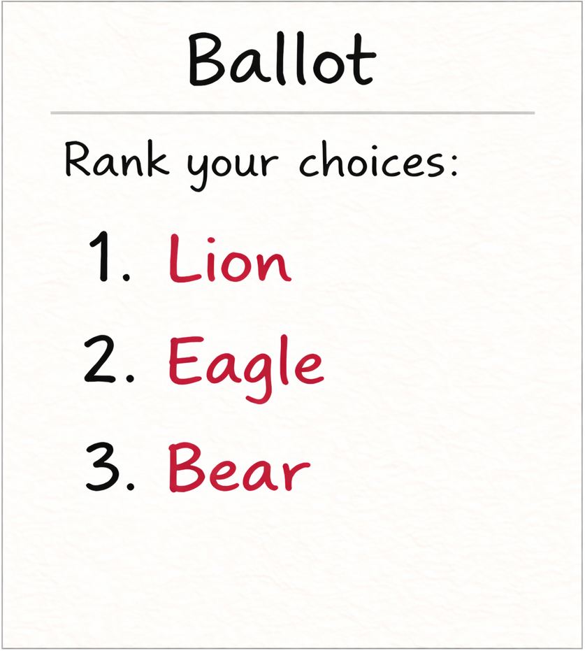 Lion supporters ballot