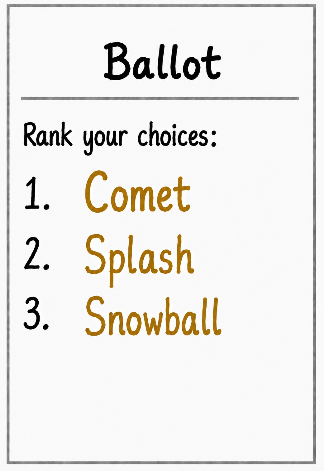 BigEye voters ballot