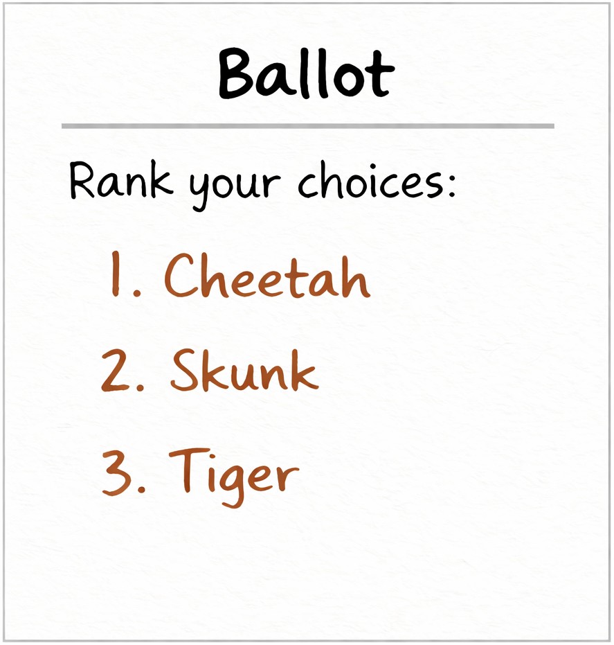 Cheetah supporters ballot