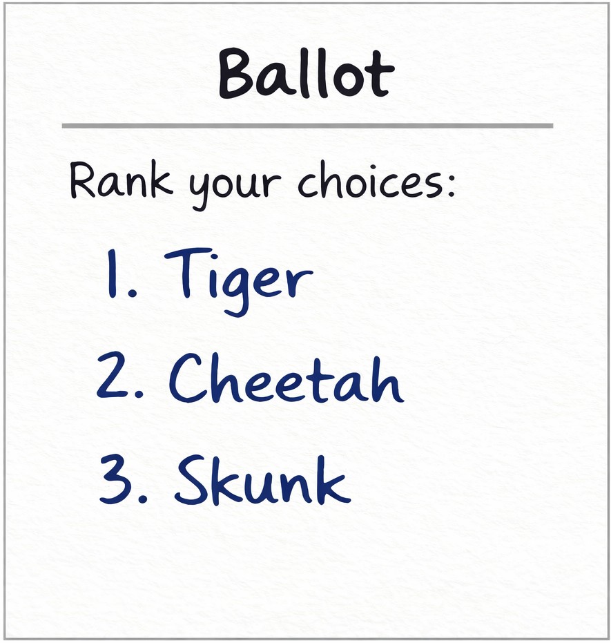 Tiger supporters ballot