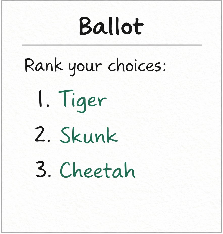 Modified Tiger supporters ballot