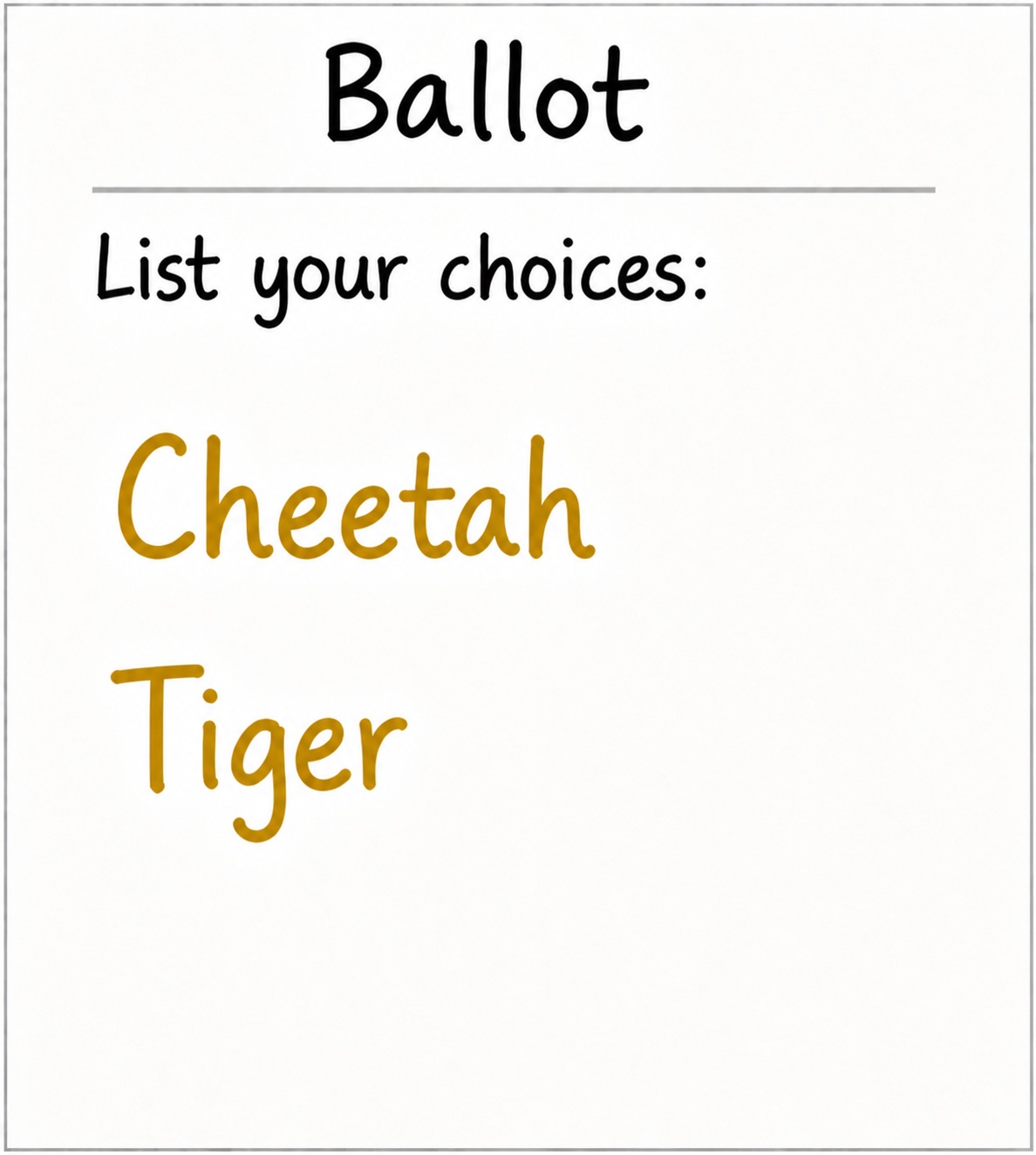Plains ballot
